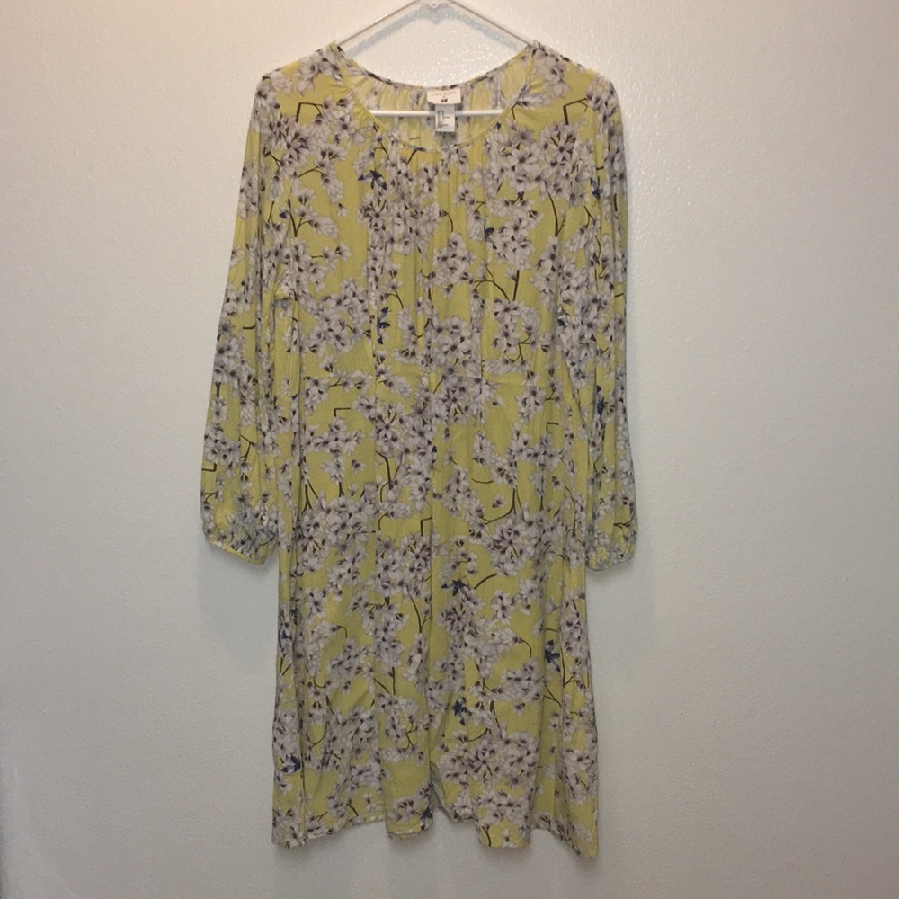 Anna Glover x H&M Poplin Dress